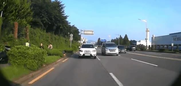 SPORTS SOS | 폰에 미친 자동차 운전자 [속보]