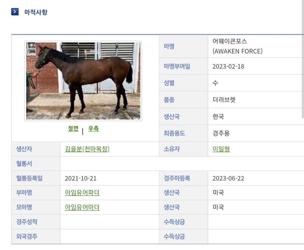 SPORTS SOS | 흔한 경주마 이름 짓는법 확인 필수