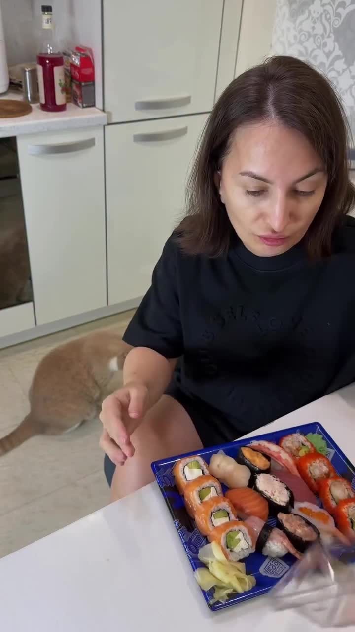 SPORTS SOS | 집사야 밥 좀 주라