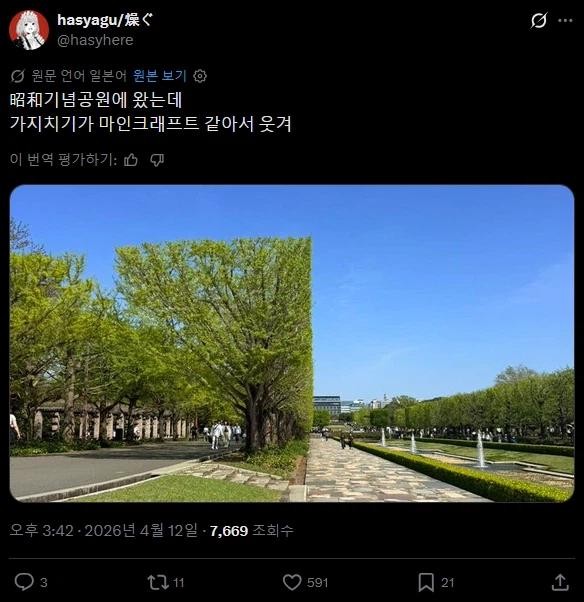 SPORTS SOS | 그래픽 버그 생긴 공원 (필독)