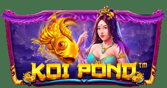 SPORTS SOS | Koi Pond [속보]