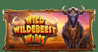 SPORTS SOS | Wild Wildebeest Wins