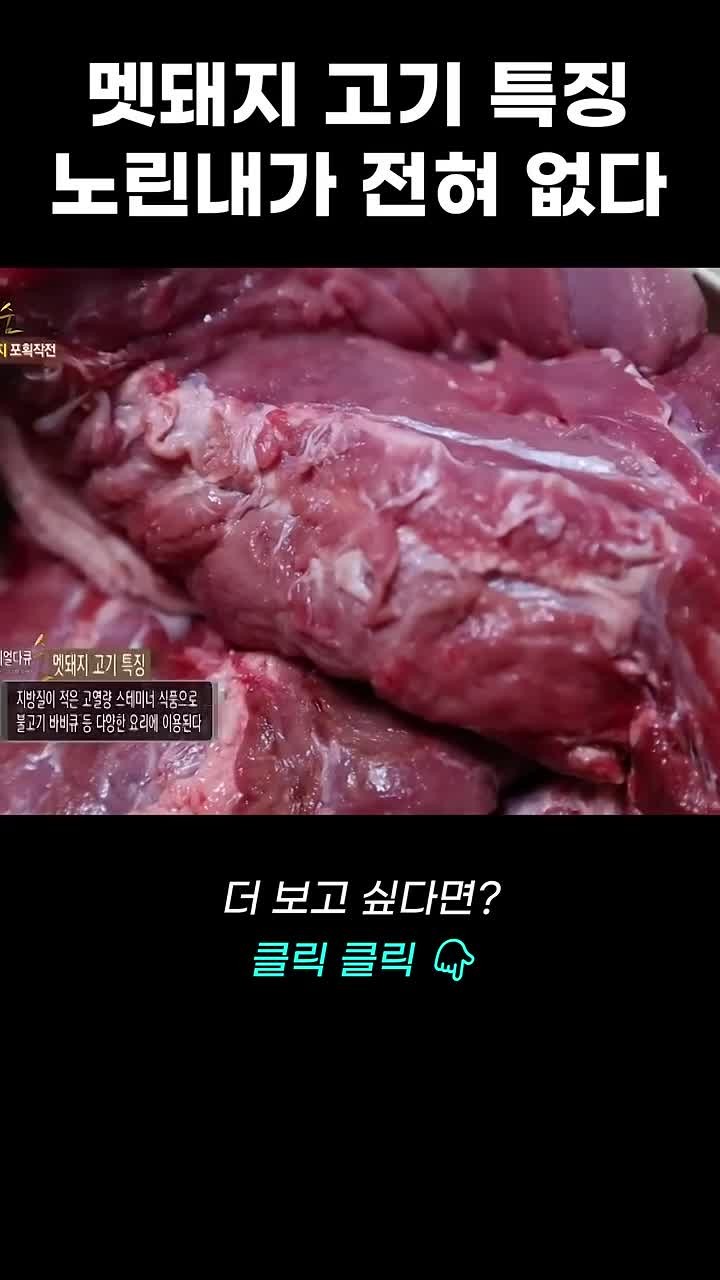 SPORTS SOS | 야생 멧돼지고기 확인 필수