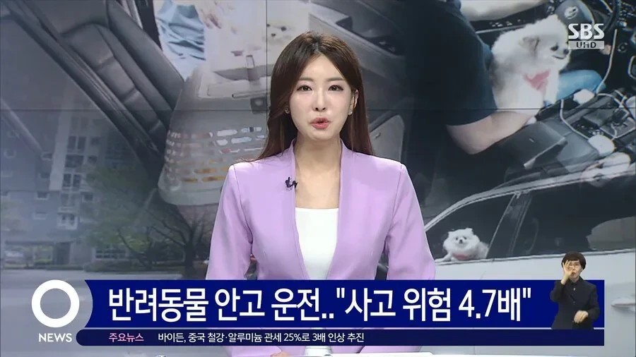 SPORTS SOS | 가끔씩 보이는 위험한 운전 (필독)