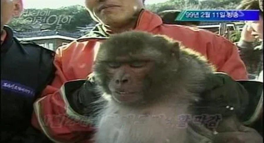 SPORTS SOS | 늑구 이전 동물원 탈출 대선배 (필독)