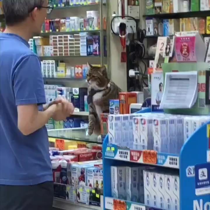 SPORTS SOS | 상점 매니저를 괴롭히는 손님 (필독)