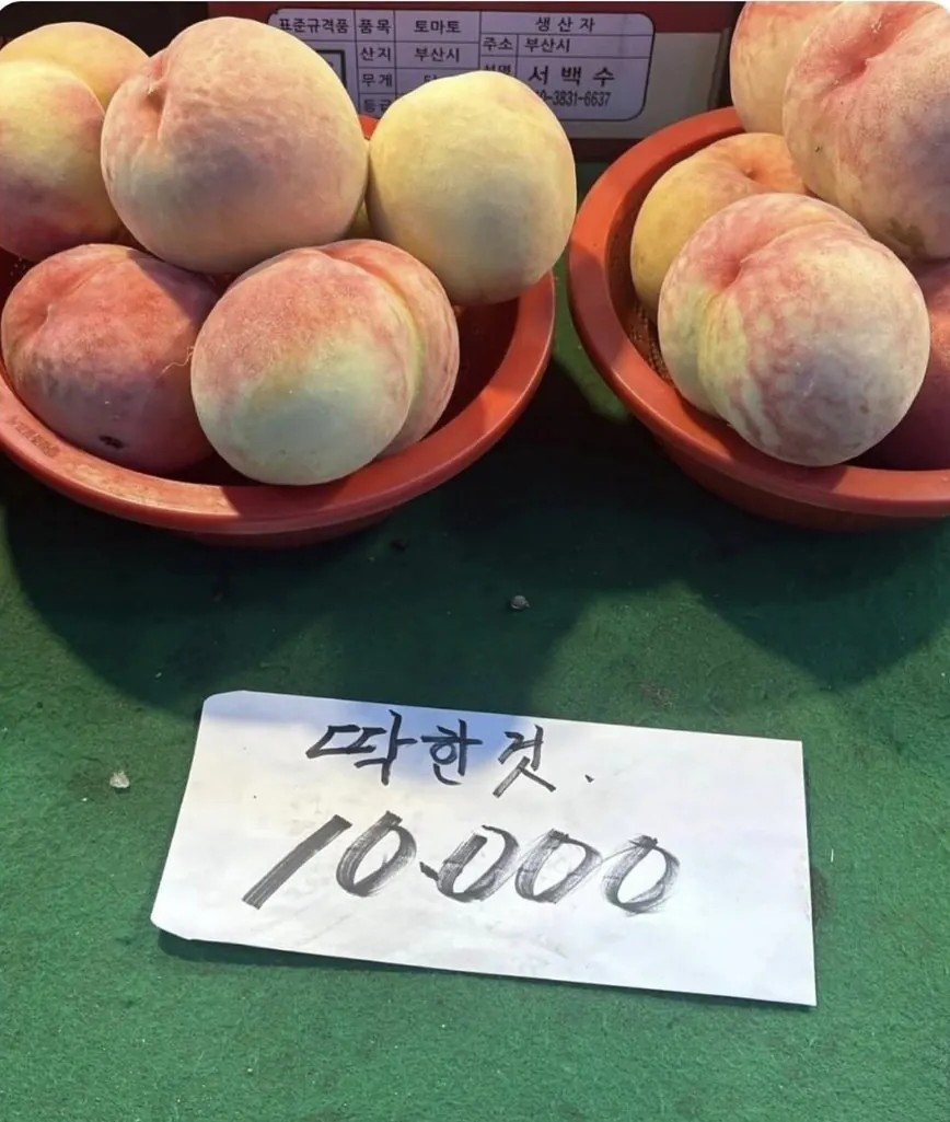 SPORTS SOS | 과일 사러 왔는데 복숭아가 너무 불쌍해 확인 필수