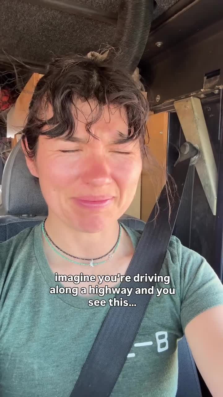 SPORTS SOS | 혐) 운전 중 메뚜기 떼를 만나면 확인 필수