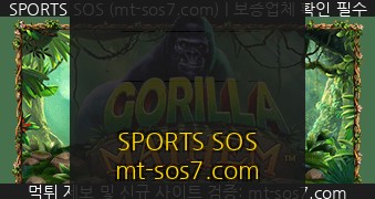 SPORTS SOS | Gorilla Mayhem 확인 필수