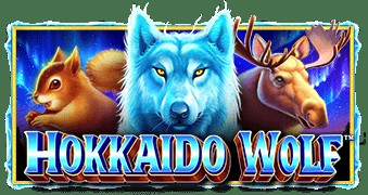 SPORTS SOS | Hokkaido Wolf™(훗카이도 울프) 정보