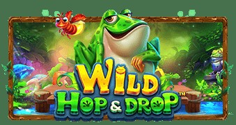 SPORTS SOS | Wild Hop&Drop 확인 필수