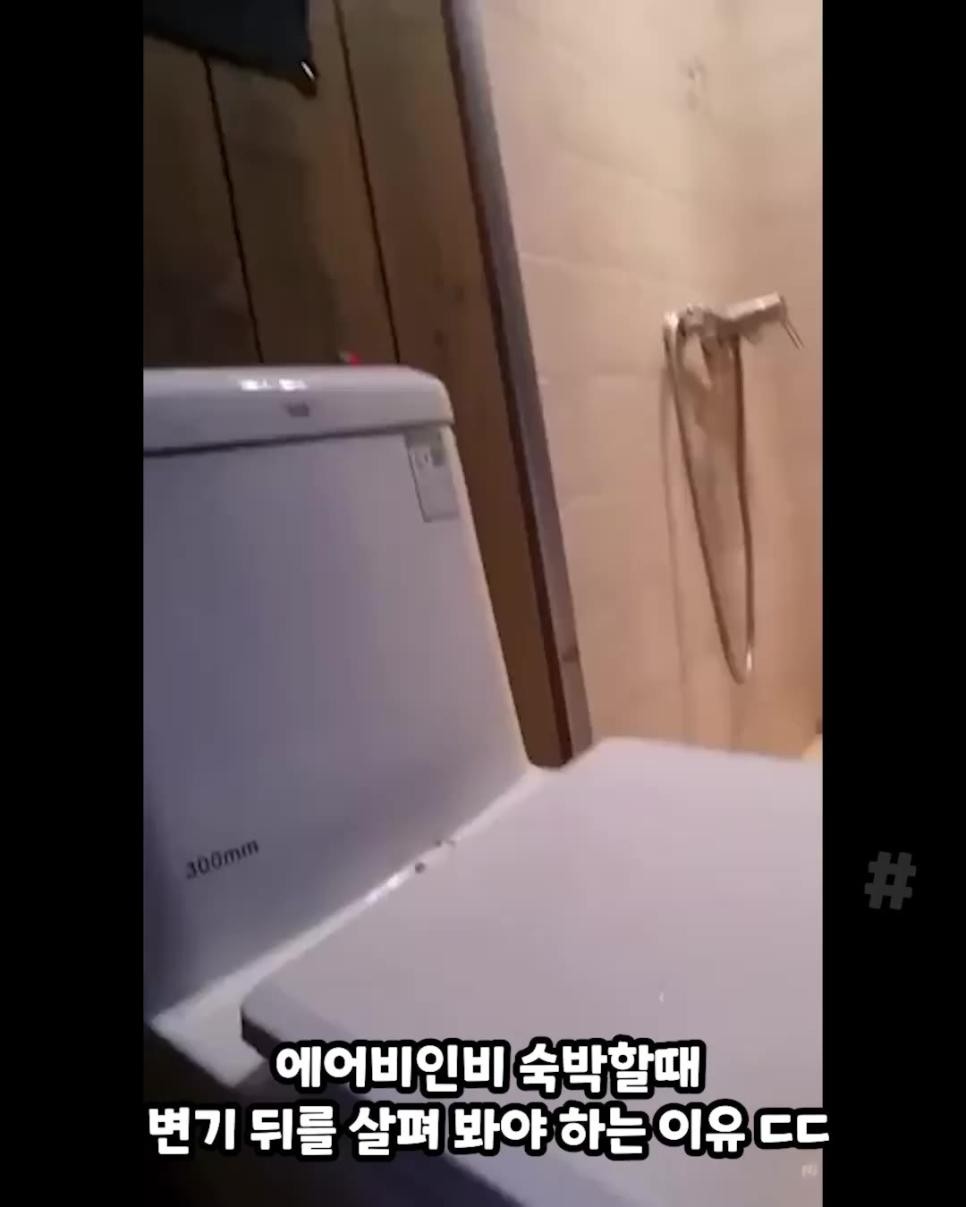 SPORTS SOS | 에어비앤비 변기 뒤에서 발견된 것 [속보]
