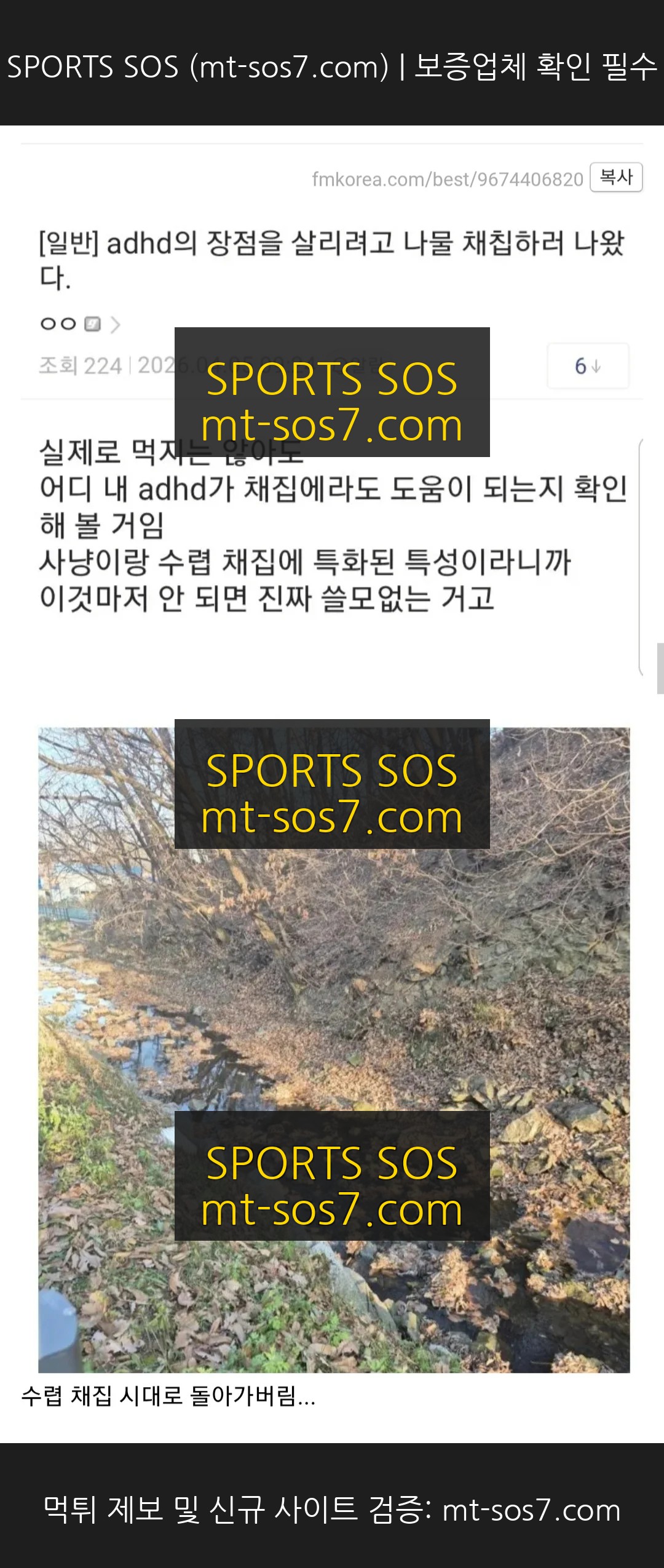 SPORTS SOS | ADHD의 ADHD 써먹는 법 [속보]