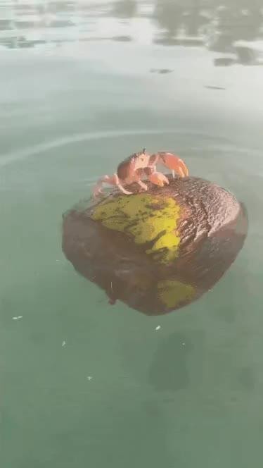 SPORTS SOS | 수위 아슬아슬한 게이동영상 [속보]