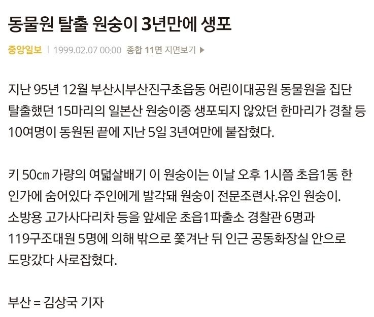 SPORTS SOS | 1997년 원숭이 15마리 탈출 사건 정보