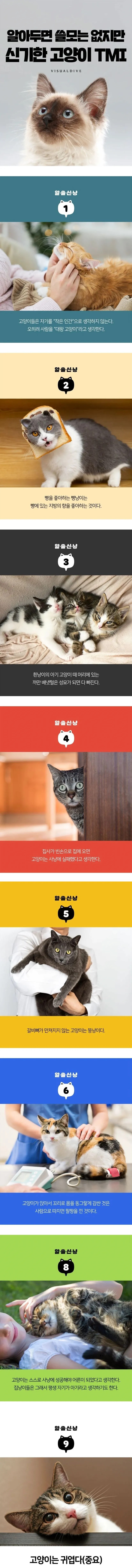 SPORTS SOS | 알아두면 쓸모는 없지만 신기한 고양이 TMI (필독)