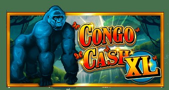 SPORTS SOS | Congo Cash XL [속보]