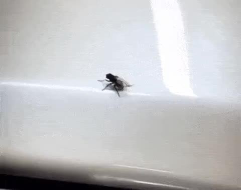 SPORTS SOS | 손세차 후기