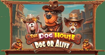 SPORTS SOS | The Dog House - Dog or Alive 정보