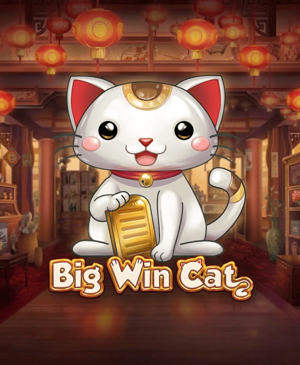 SPORTS SOS | Big Win Cat [속보]