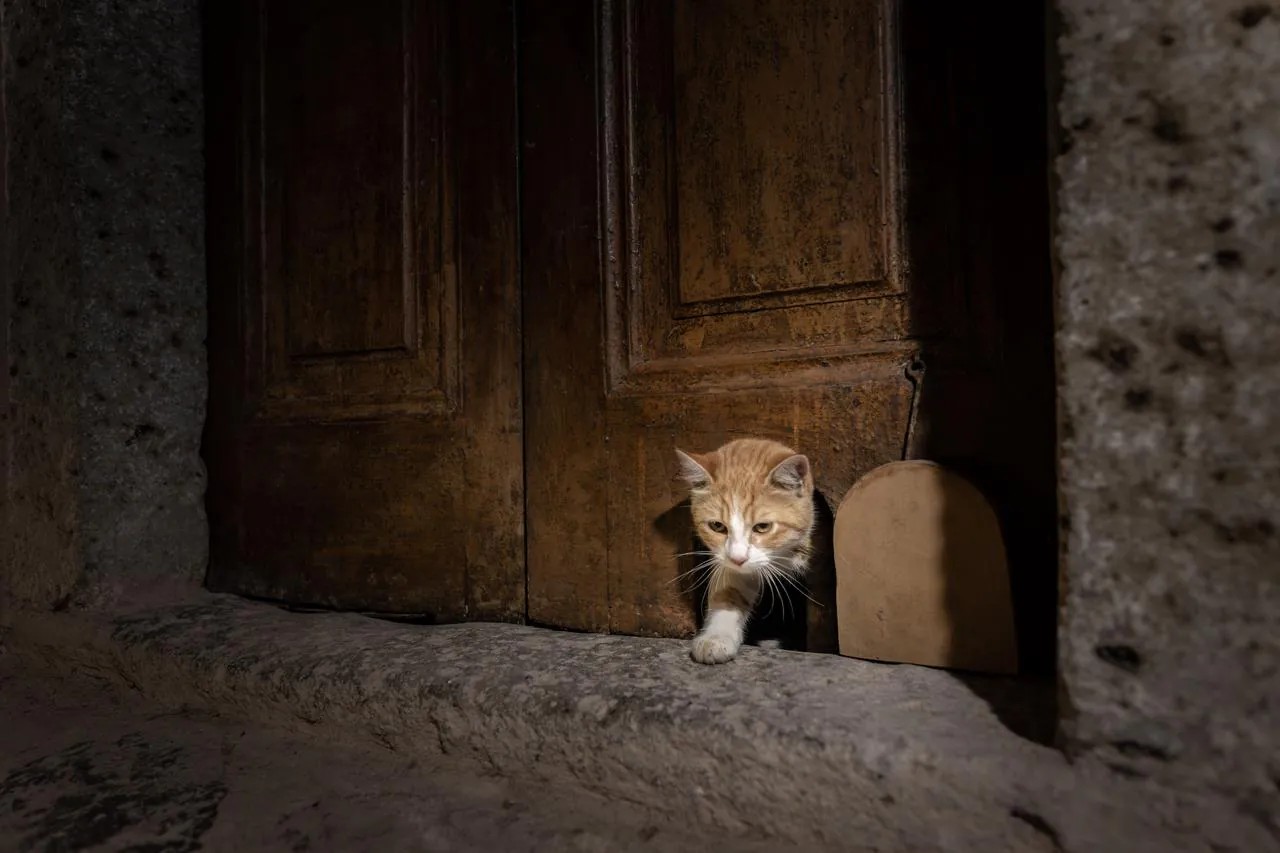 SPORTS SOS | 작년에 튀르키예에서 복원한 궁전 기능 정보