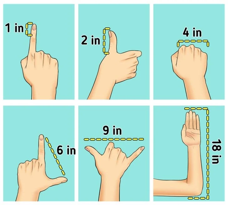 SPORTS SOS | 신체적으로 가장 완벽한 수치 (필독)