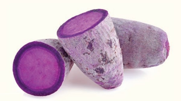 SPORTS SOS | 찐으로 다음 유행 시동거는 중이라는 디저트