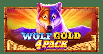 SPORTS SOS | Wolf Gold 4 Pack [속보]
