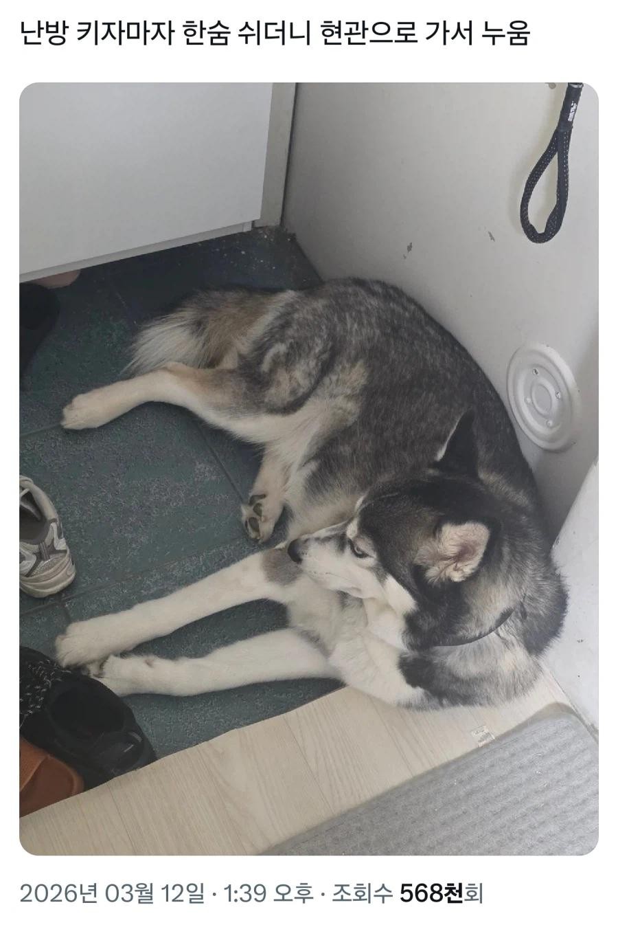 SPORTS SOS | 허스키:.....에휴 [속보]