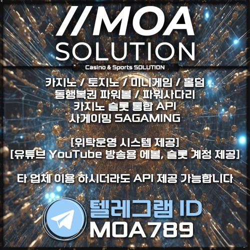 카지노 솔루션