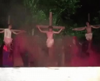 SPORTS SOS | 대체역사소설 도입부.gif 정보