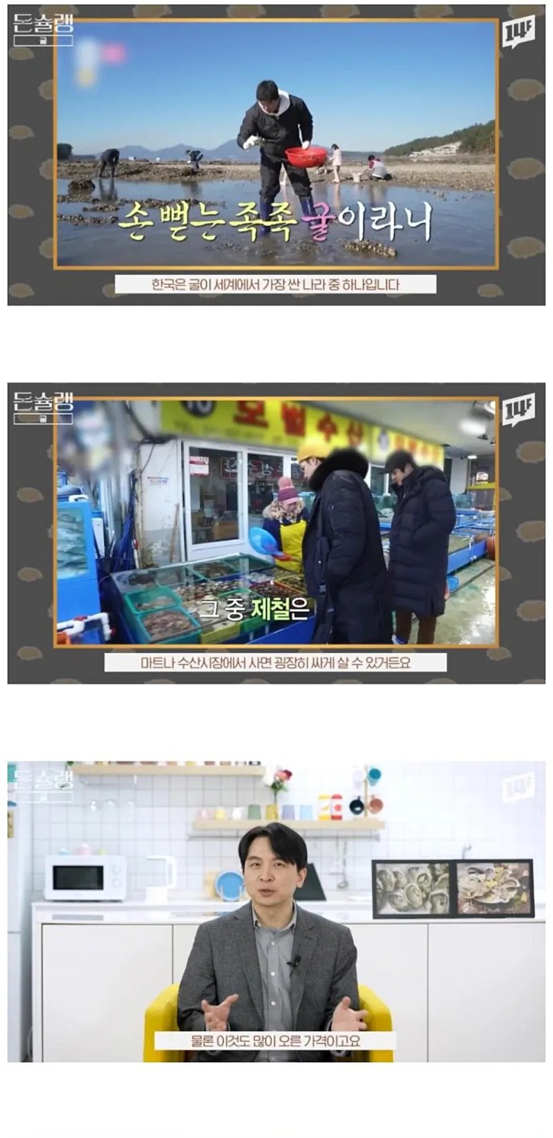 SPORTS SOS | 서양에서 굴 값이 비싼 진짜 이유.jpg 확인 필수