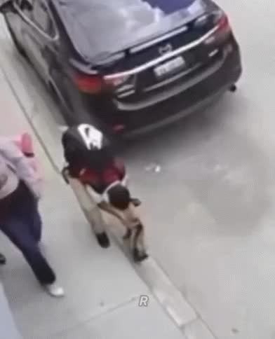 SPORTS SOS | 고양이를 얕봤던 강아지의 최후