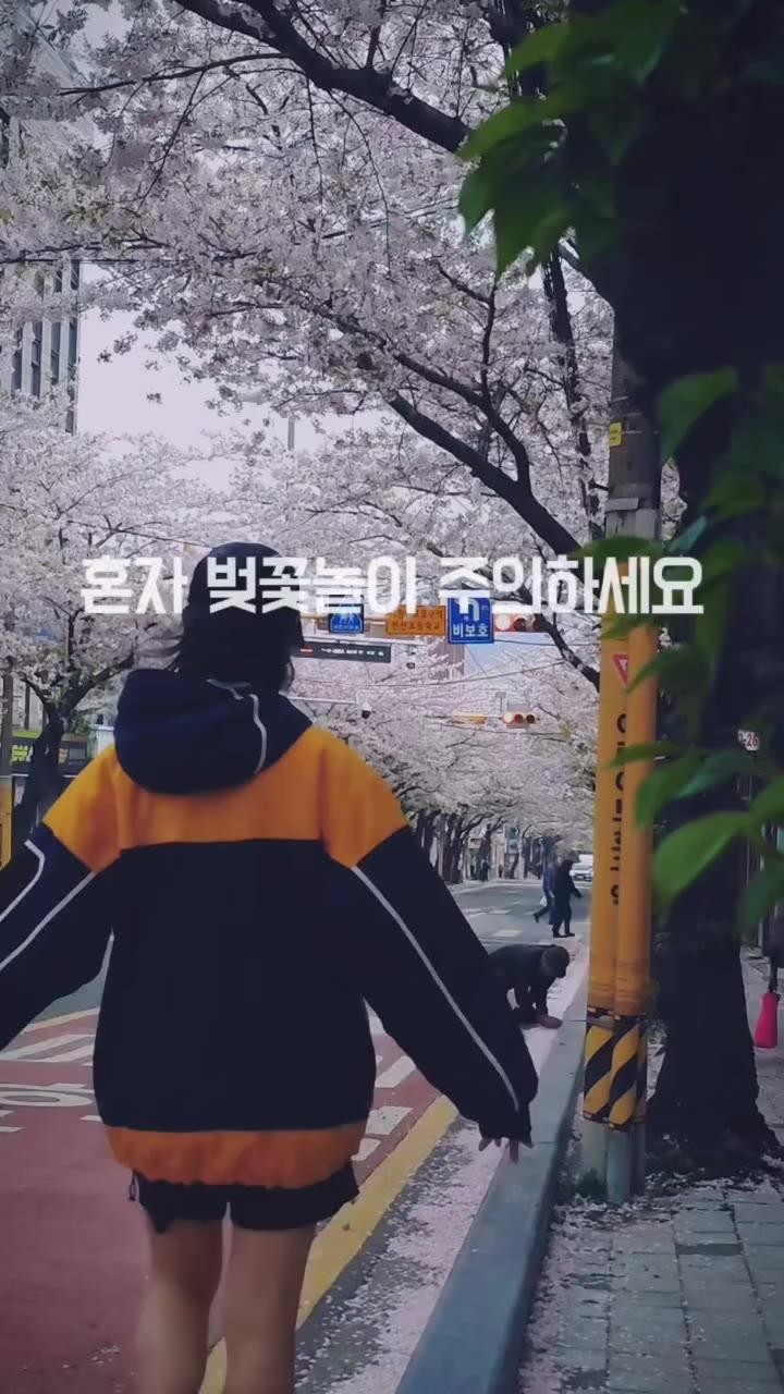 SPORTS SOS | 혼자 벚꽃놀이 하는데 나타난 아저씨.mp4 [속보]