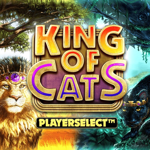 SPORTS SOS | King of Cats 확인 필수