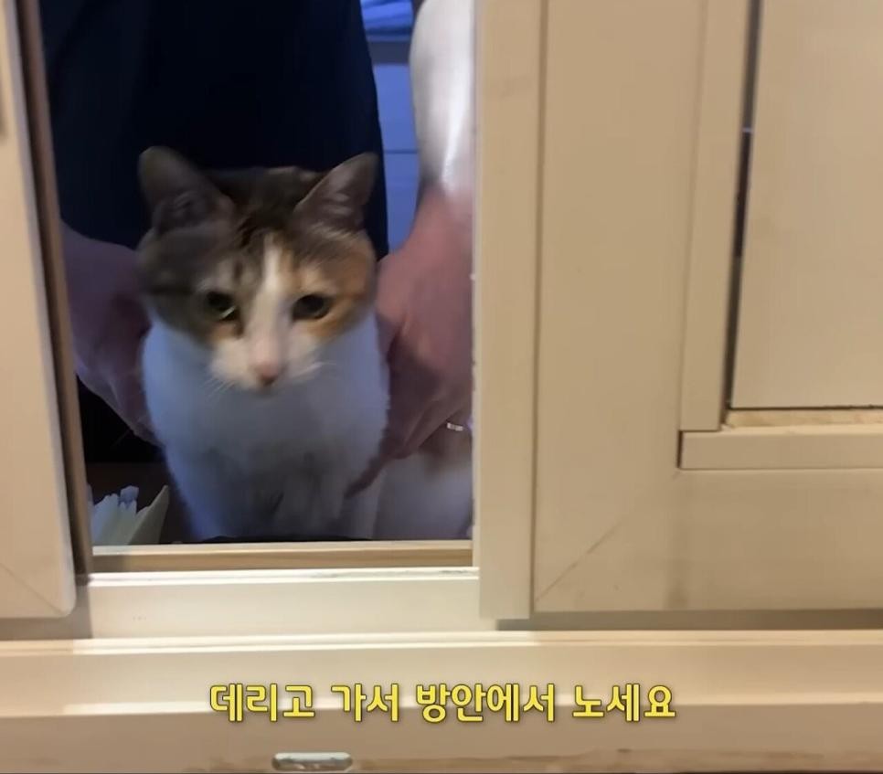 SPORTS SOS | 어떤 모텔의 시크릿 서비스 ㄷㄷ