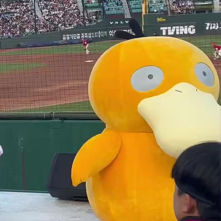 SPORTS SOS | 야구장에 온 고라파덕 [속보]