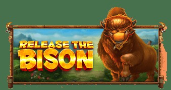 SPORTS SOS | Release the Bison 확인 필수