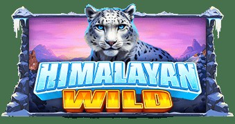SPORTS SOS | Himalayan Wild [속보]