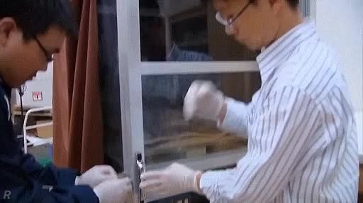 SPORTS SOS | 실물을 보기 힘들다는 천마총 천마도 원본 확인 필수