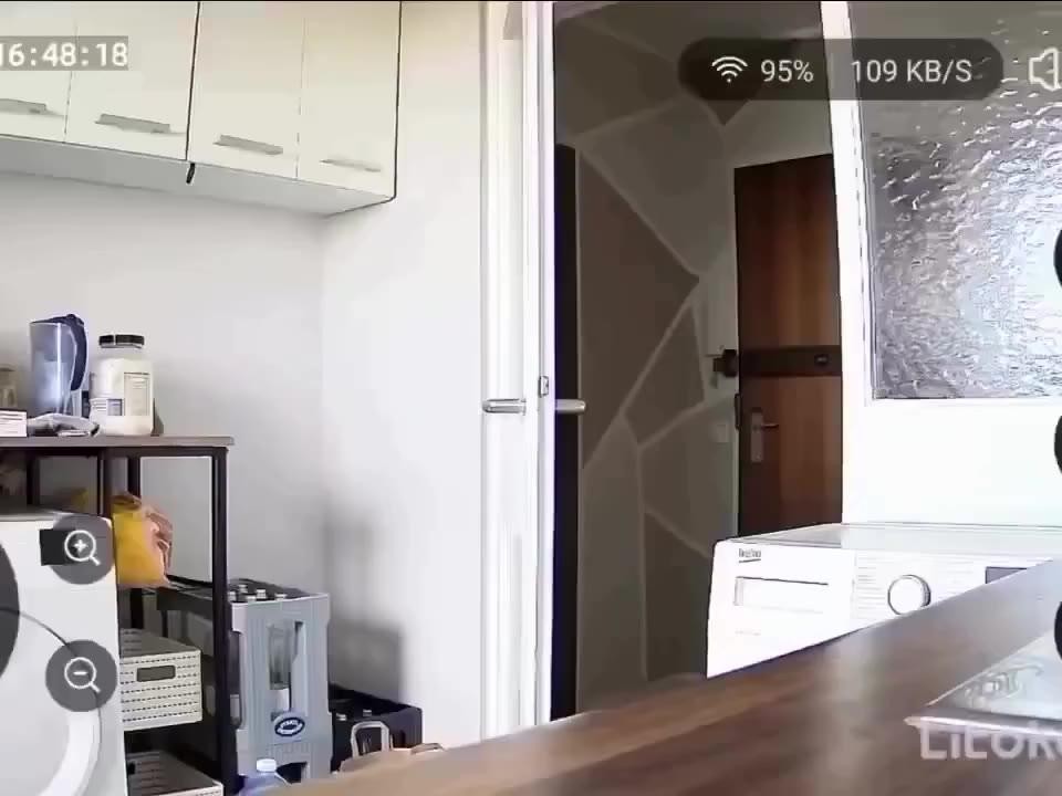 SPORTS SOS | 고양이가 뭐 하고 있는지 궁금했던 주인 [속보]