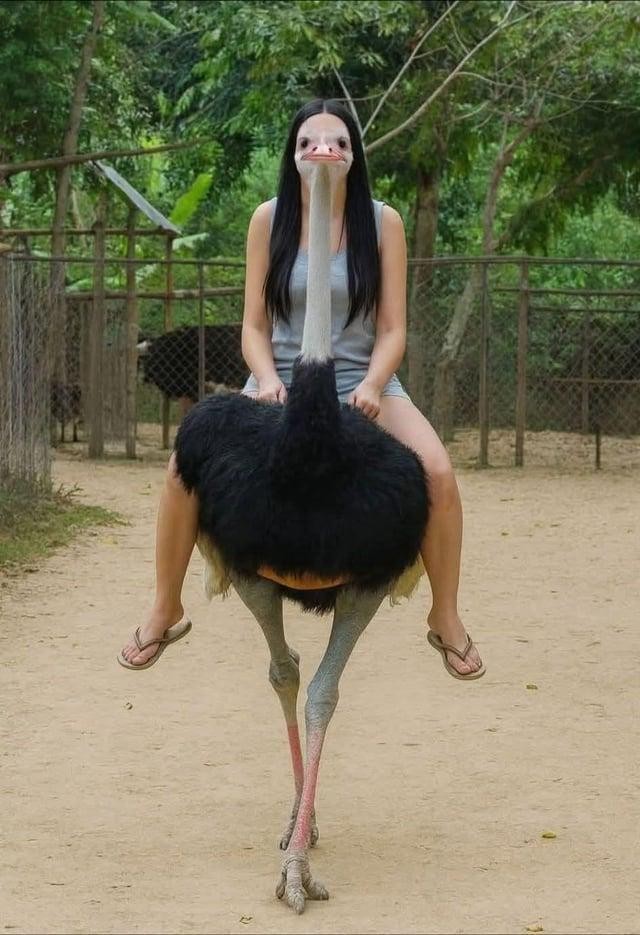 SPORTS SOS | 소녀가 타조를 타고 사진을 찍으면 안 되는 이유. [속보]