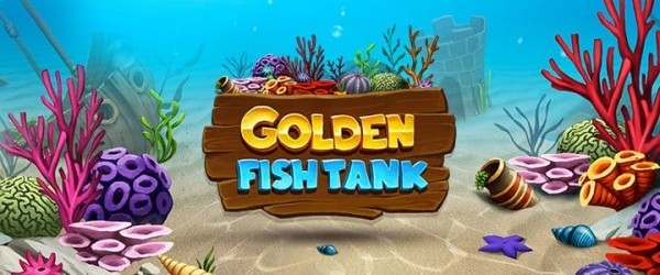 SPORTS SOS | Golden Fish Tank 확인 필수