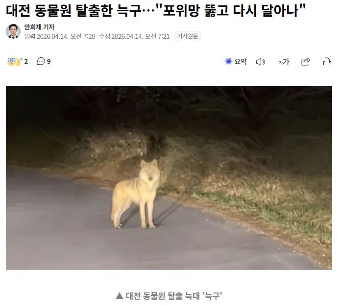 SPORTS SOS | 대전 오월드 늑구 발견 ㄷㄷ