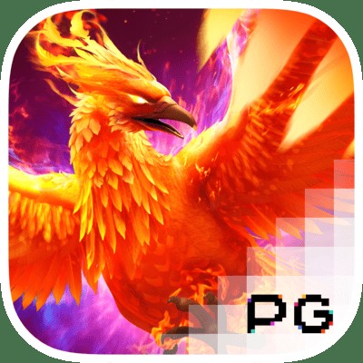 SPORTS SOS | 피닉스의 부활 [Phoenix Rises] 확인 필수