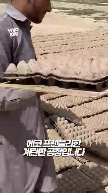 SPORTS SOS | 인도에서 친환경 계란판을 만드는 방법