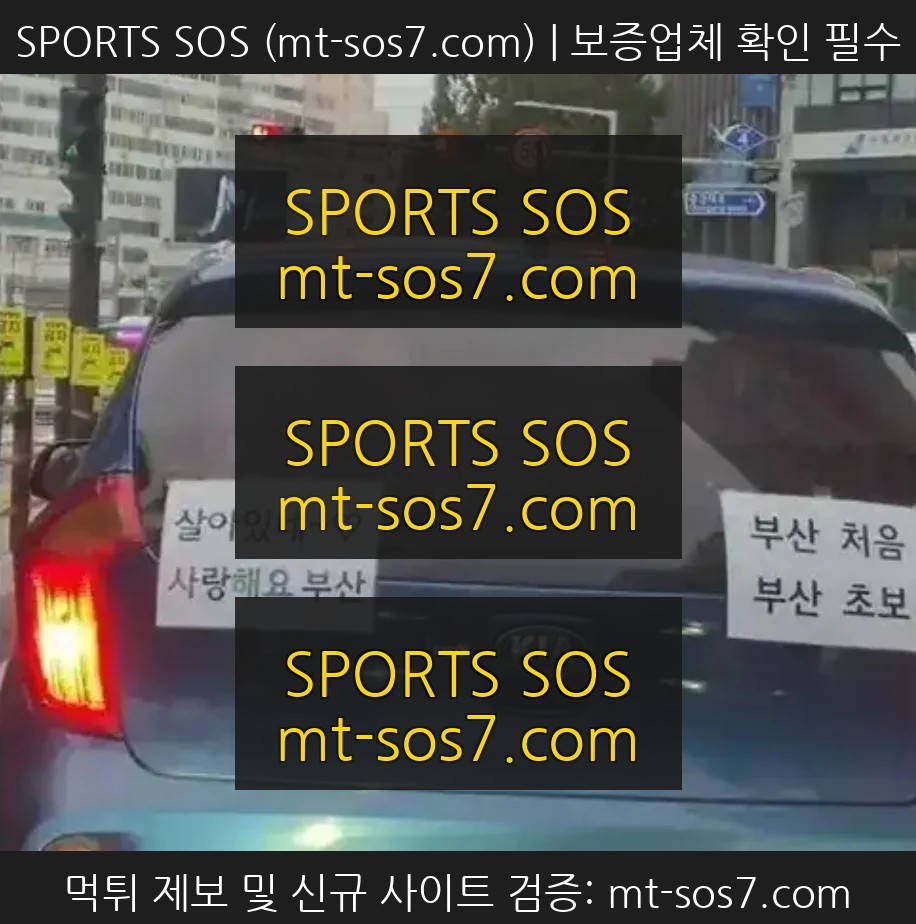 SPORTS SOS | 부산은 처음이라는 초보운전자 정보