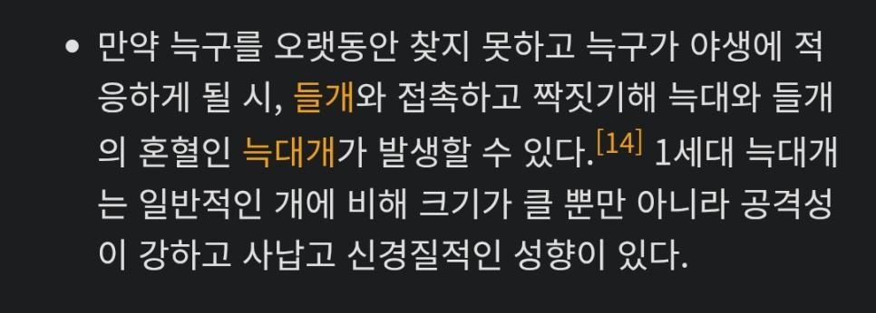 SPORTS SOS | 늑구 찾는데 혈안이 된 이유 (필독)