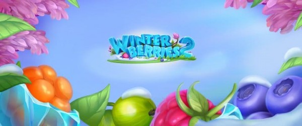 SPORTS SOS | Winterberries 2 확인 필수