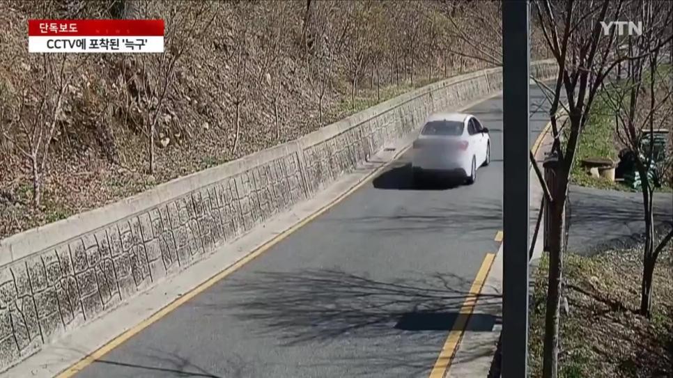 SPORTS SOS | CCTV에 포착된 늑대 늑구.avi 정보